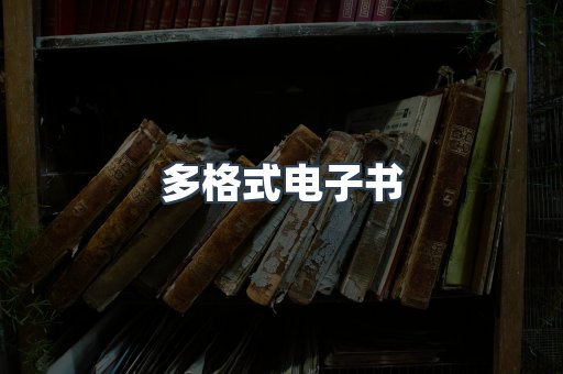 海外电子书